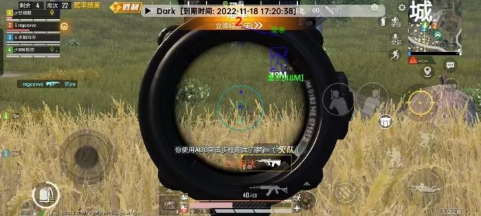 和平精英大神的辅助器是什么（和平精英辅助触控是什么东西）